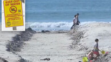 San Diego beaches shut down due to bacteria level spike