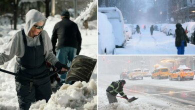 Six dead on Long Island from this week's snow storm: officials