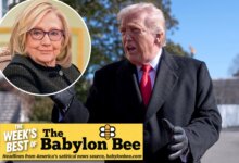 Trump honors Hillary Clinton with new federal holiday 'Almost President's Day'