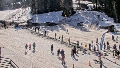 A busy ski resort with people skiing and snowboarding on a sunny day.
