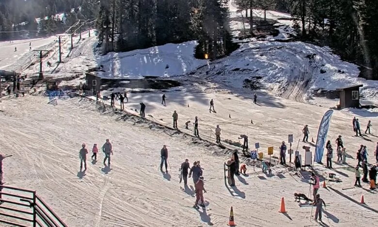 A busy ski resort with people skiing and snowboarding on a sunny day.