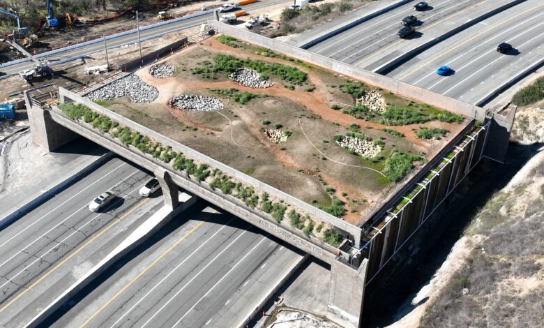 California's unfinished wildlife 'bridge to nowhere'