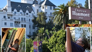 Chateau Marmont chaos as roof parts plunge towards celeb diners including Sacha Baron Cohen