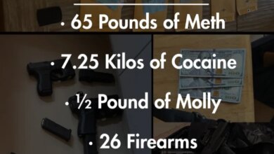 Collage of seized drugs, firearms, cash, and drug paraphernalia by the Placer County Sheriff.