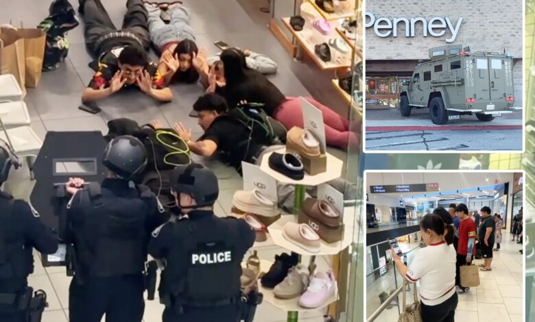 Cops storm SoCal mall after hoax call targets streamers filming with child