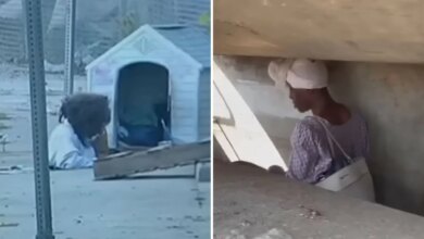 Homeless woman living in LA storm drained identified as mother of 3