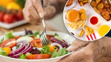 How to feed your brain in LA