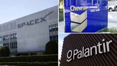 Progressive policies have consequences