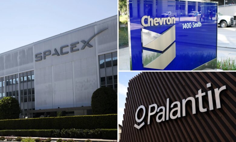 Progressive policies have consequences