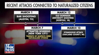 Graphic shows US attacks tied to naturalized citizens