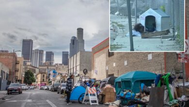 Video shows LA homeless living in sewers