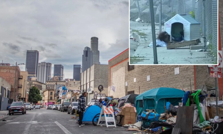 Video shows LA homeless living in sewers