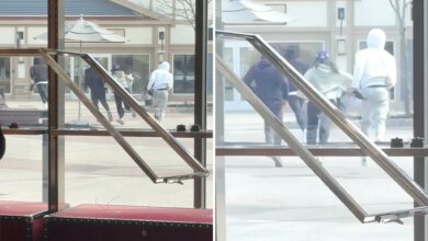 4 thieves steal Gucci handbags worth $30K in daylight smash-and-grab at Woodbury Commons in NY