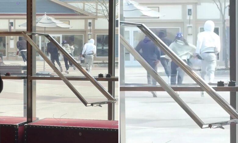 4 thieves steal Gucci handbags worth $30K in daylight smash-and-grab at Woodbury Commons in NY