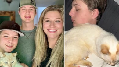 California cat lost seven years ago finds its way back to family