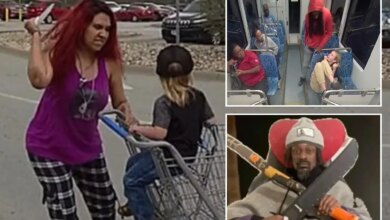 If we don't lock up and treat the mentally ill, we'll continue to pay a deadly price