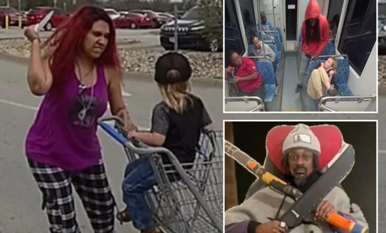 If we don't lock up and treat the mentally ill, we'll continue to pay a deadly price