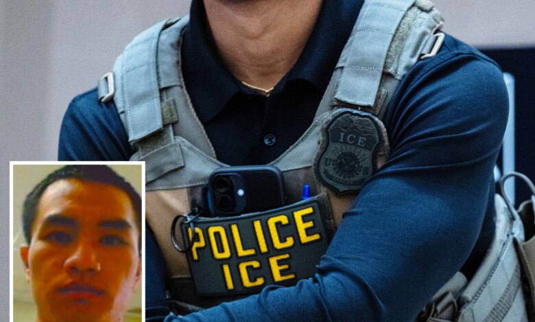 Migrant fugitive smashes into ICE agent with vehicle