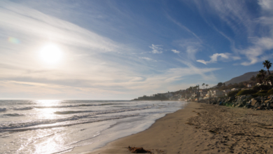 Ocean coast in Malibu, California with residential buildings along the shore.