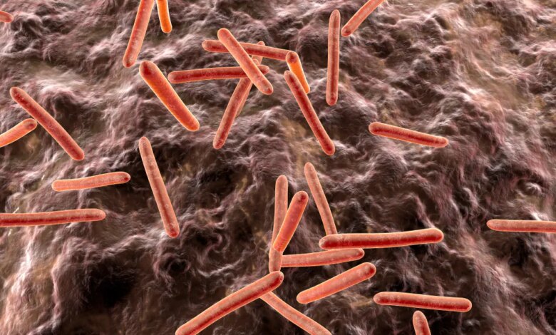 Illustration of tuberculosis bacteria in an organism.