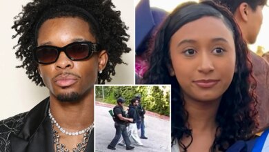 Video footage shows D4vd arrested in Hollywood Hills, surrounded by LAPD officers