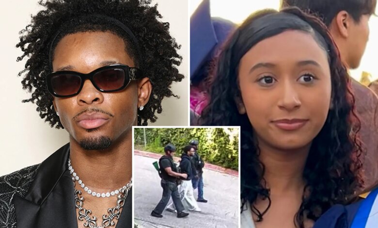 Video footage shows D4vd arrested in Hollywood Hills, surrounded by LAPD officers