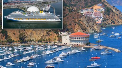 Woman falls to her death on Carnival cruise near Catalina Island