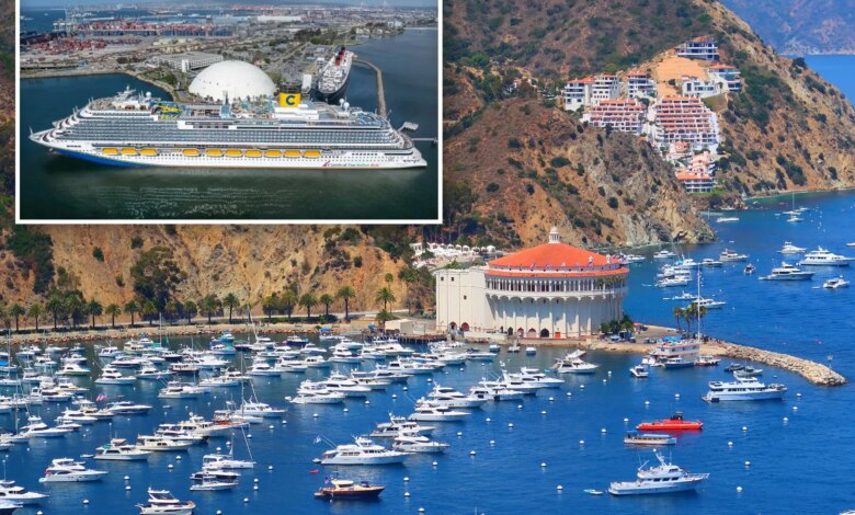 Woman falls to her death on Carnival cruise near Catalina Island