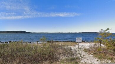 Cops responded to Lloyd Harbor Road in Lloyd Harbor after receiving a 911 call about a body spotted bobbing in the sound at 7:45 p.m