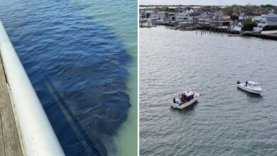 30K gallons of nasty sewage waste accidentally unloaded in Long Island waterway