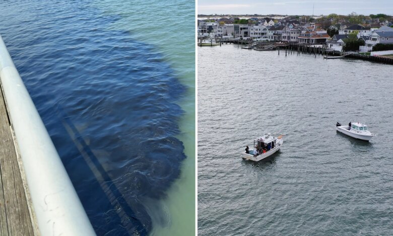 30K gallons of nasty sewage waste accidentally unloaded in Long Island waterway