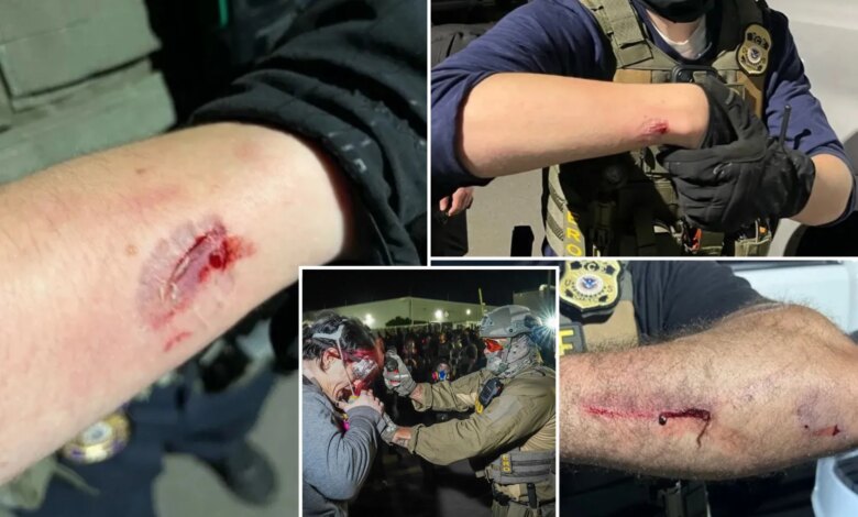 Anti-ICE agitator Brendan Geier charged with allegedly biting officers during NJ Delaney Hall protest