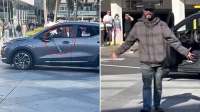 Bat-wielding driver with dog terrorizes shoppers in Santa Monica as city struggles to control crime crisis