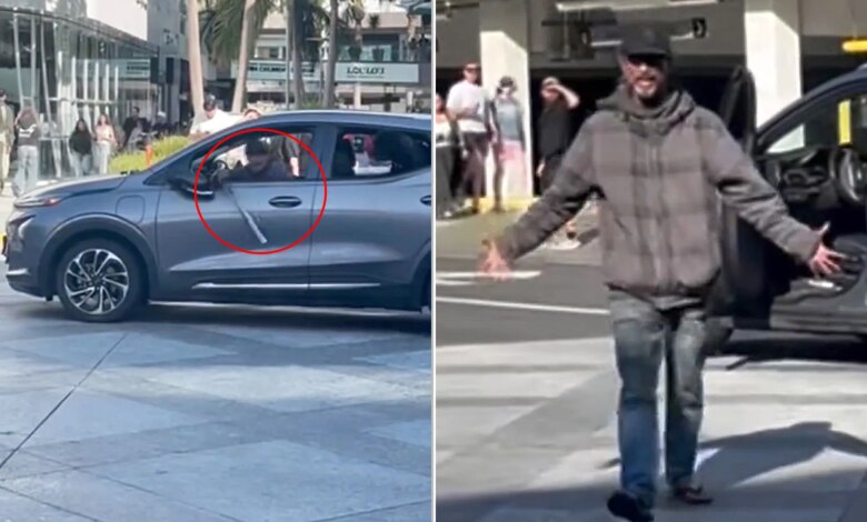 Bat-wielding driver with dog terrorizes shoppers in Santa Monica as city struggles to control crime crisis
