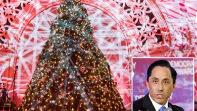 Furious San Diegans call for mayor recall after beloved December Nights festival faces budget axe