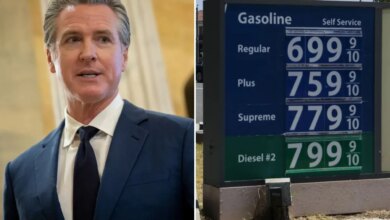 Gavin Newsom’s blame-shifting on Chevron