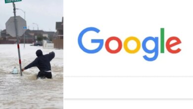 Google searches in times of crises offer insights into humanity