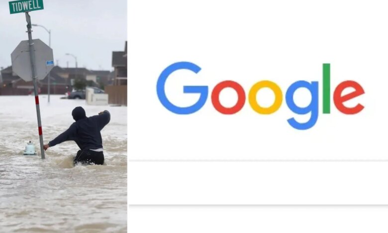 Google searches in times of crises offer insights into humanity