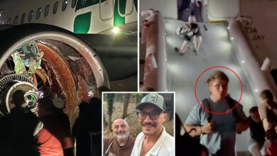 LA-bound family reveals gruesome moment plane struck person