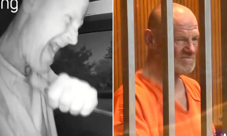 Mayhem as Ring camera psycho appears in court