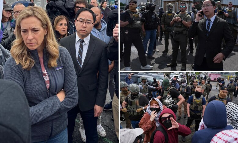 NJ Gov. Mikie Sherrill slammed for 'stunt' at Newark ICE facility amid tense protests