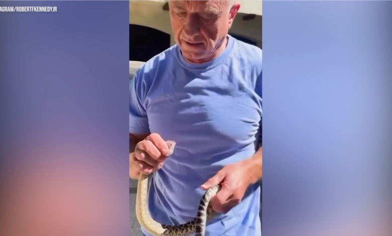Robert F. Kennedy Jr. holding a rattlesnake