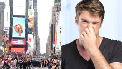 Raising a stink: The Post sniffed out NYC's smelliest neighborhoods, according to 311 complaints
