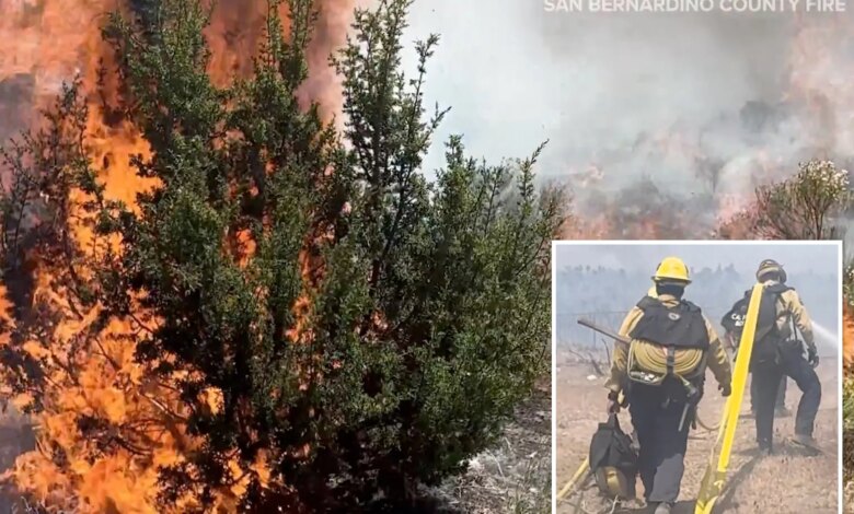 Rare 'ash devil' spotted during SoCal wildfire