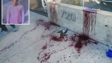 Samurai sword attacker who nearly hacked off man's arm in Venice on the run from cops