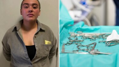 Social media veterinarian posts clips performing deadly medical procedures on pets