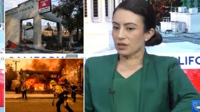 State senator demands California escalate war with State Farm by hitting it where it hurts most