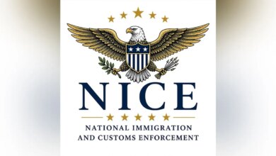 NICE graphic with eagle and shield design referencing ICE.