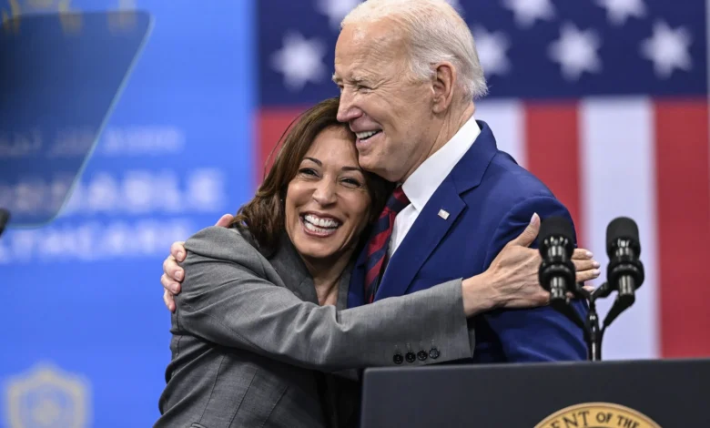 Why DNC's belated 2024 election 'autopsy' term paper warrants a 'D' grade