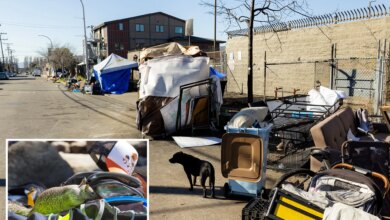 Berkeley leptospirosis outbreak turns deadly after human cases linked to rat-infested RV